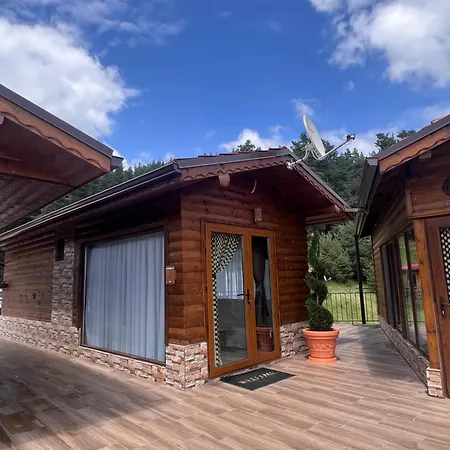 Safi Forest Village Доспат