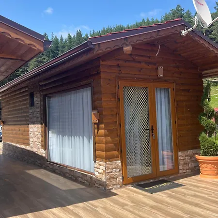 Safi Forest Village * Dospat