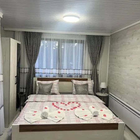 Safi Forest Village * Dospat