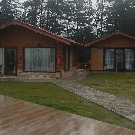 Safi Forest Village *