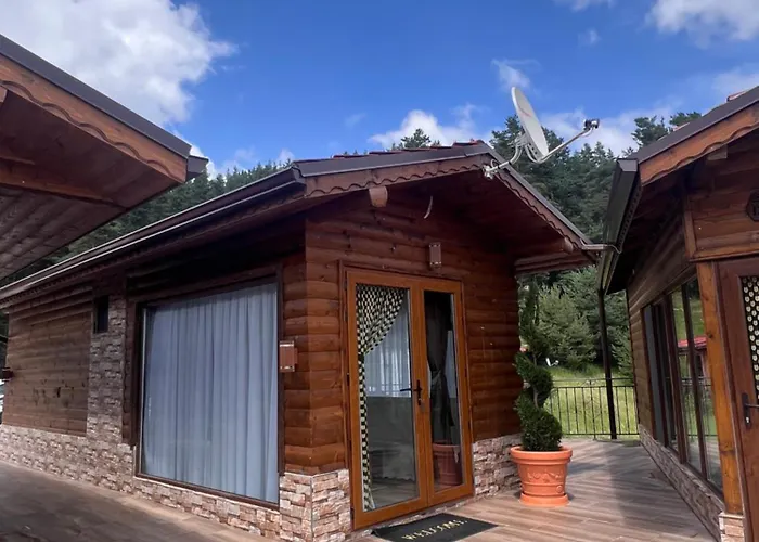 Safi Forest Village 多斯帕特