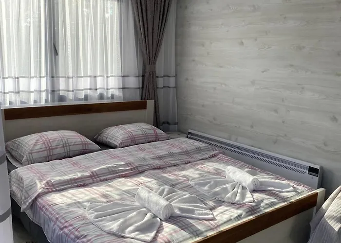 Vila Safi Forest Village