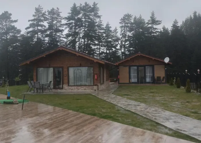 Vila Safi Forest Village