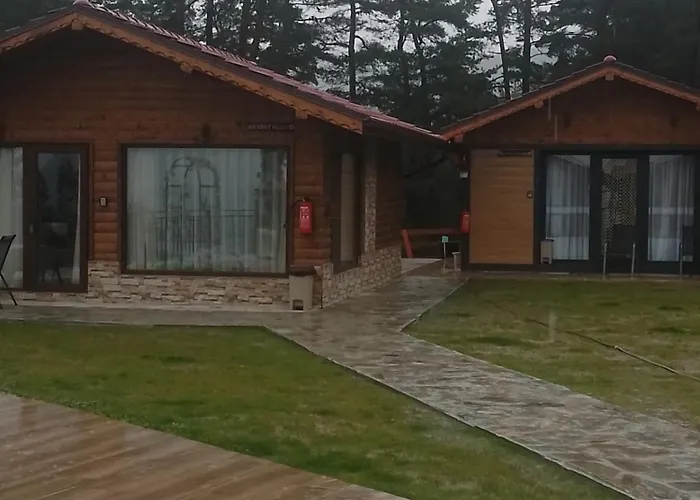 Safi Forest Village *